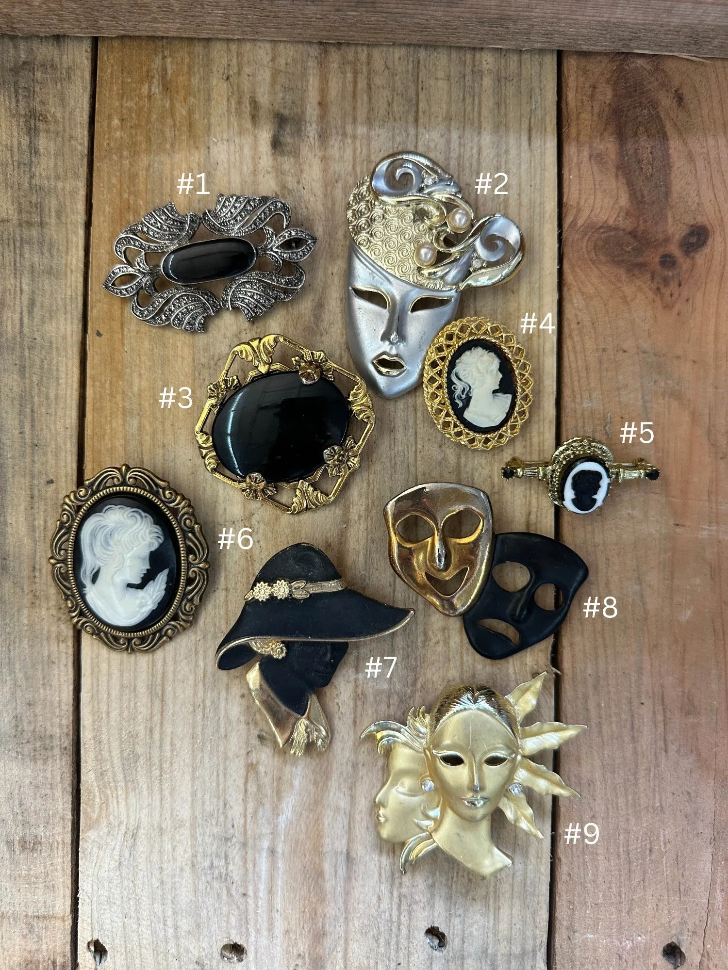 Lady In The Night Vintage Cameo Brooches & Pins